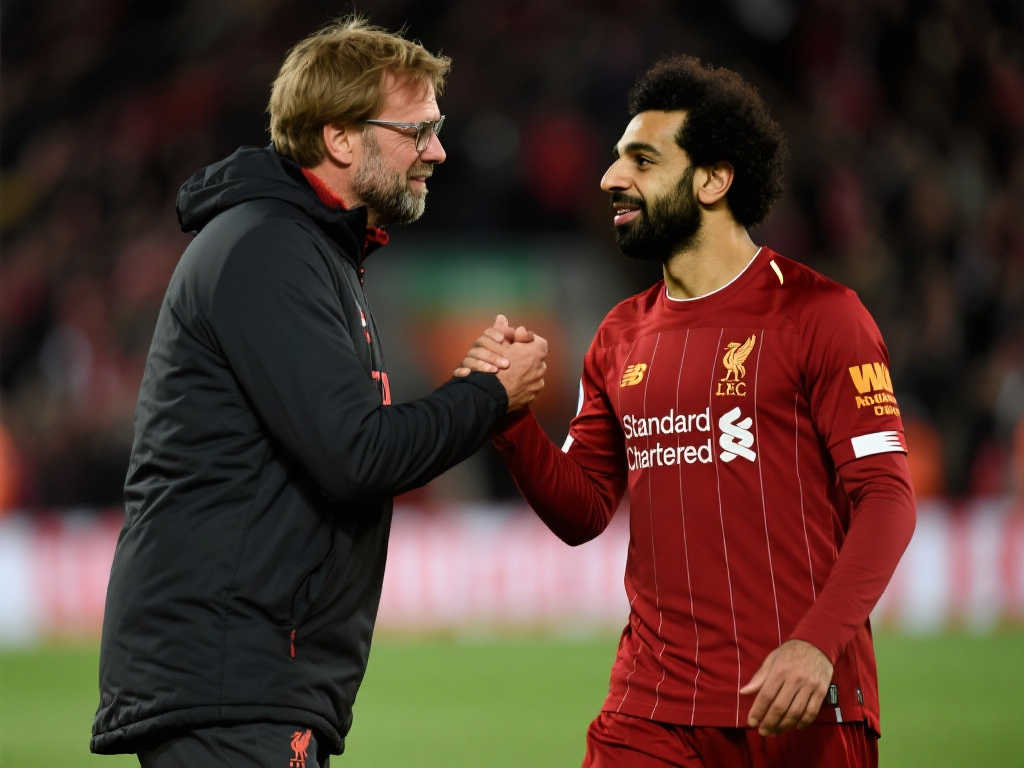 回顾比赛过 回顾比赛过